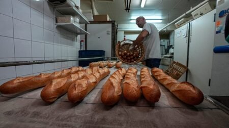 Video. Rising fuel costs squeeze rural businesses in France Video. Rising fuel costs squeeze rural businesses in France