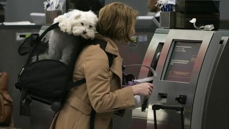 Which are Europe’s best pet-friendly airlines?
