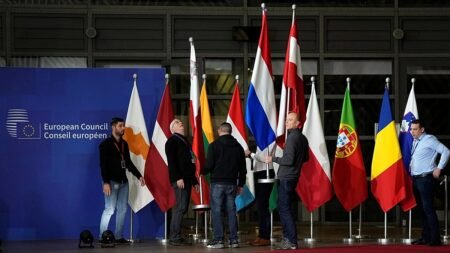 11 EU countries demand end to ‘obstructive’ vetoes on foreign policy