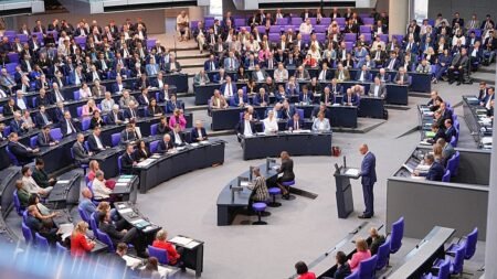 Germany’s Merz accuses far-right AfD of promoting ‘ethnic cleansing’