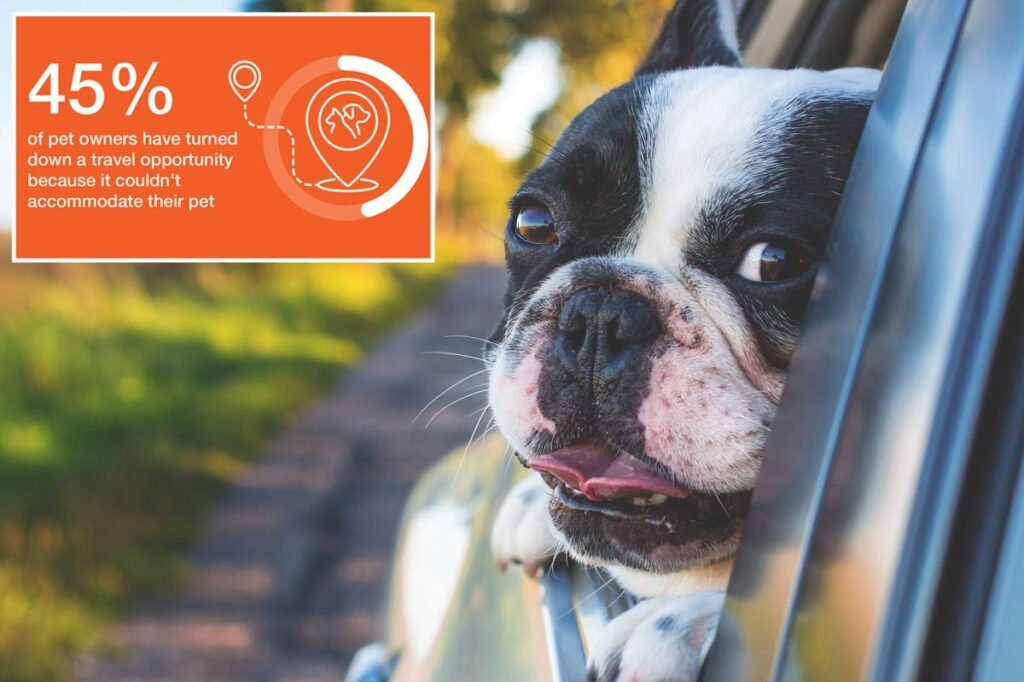 Nearly half of Americans have turned down travel opportunities that can’t accommodate pets: research Nearly half of Americans have turned down travel opportunities that can’t accommodate pets: research