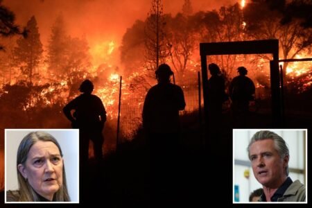 California utility CEO has meltdown at state over wildfire fiasco — with billions of dollars on the line California utility CEO has meltdown at state over wildfire fiasco — with billions of dollars on the line