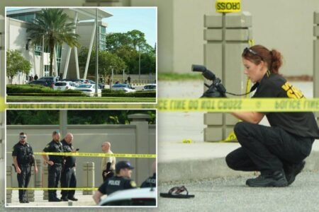 Florida woman, 70, opens fire inside police department lobby, chief says Florida woman, 70, opens fire inside police department lobby, chief says