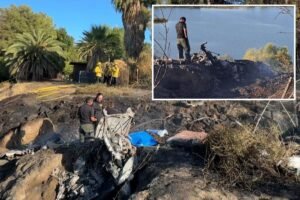 Woman is third person to die in fireball plane crash that killed two kids in California Woman is third person to die in fireball plane crash that killed two kids in California