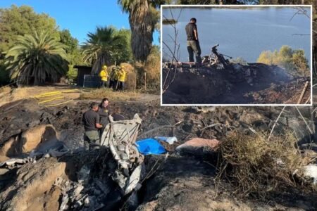 Woman is third person to die in fireball plane crash that killed two kids in California
