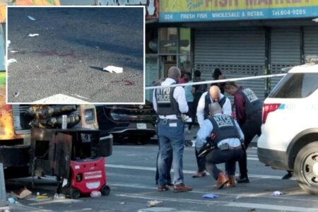 Multiple people stabbed in Crown Heights as notoriously violent West Indian American Day parade kicks off