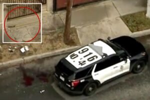 Man shot dead by police after charging officers with tree trimmer on LA street Man shot dead by police after charging officers with tree trimmer on LA street