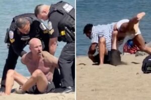 Wild brawl breaks out on California beach as martial artist describes violent dust-up: ‘ran into the wrong person’ Wild brawl breaks out on California beach as martial artist describes violent dust-up: ‘ran into the wrong person’