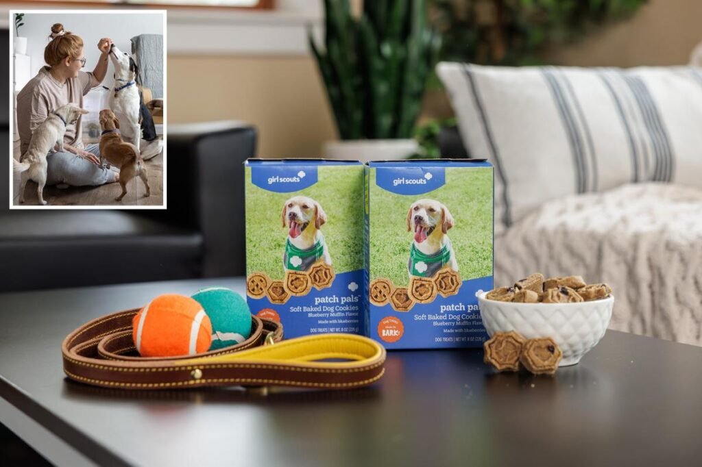 ER vet shares tip for pet owners about dog-friendly Girl Scouts cookies ER vet shares tip for pet owners about dog-friendly Girl Scouts cookies