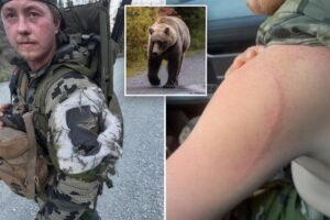 Alaska moose hunter remarkably survives bear attack: ‘Glad I blacked out’ Alaska moose hunter remarkably survives bear attack: ‘Glad I blacked out’