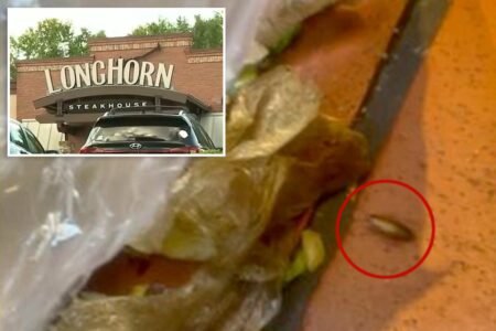 Viral employee video caught roaches crawling across popular steakhouse’s kitchen floor Viral employee video caught roaches crawling across popular steakhouse’s kitchen floor