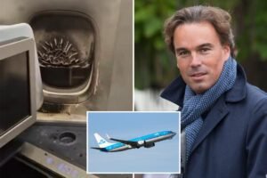 Former KLM CEO allegedly sparks fire onboard after ignoring power bank rule