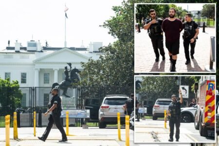 Deranged man allegedly drives on sidewalk near White House, demands to speak to Trump Deranged man allegedly drives on sidewalk near White House, demands to speak to Trump