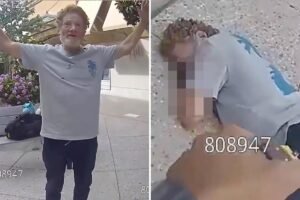 Palo Alto mall menace is zapped with Taser before face planting and breaking his neck