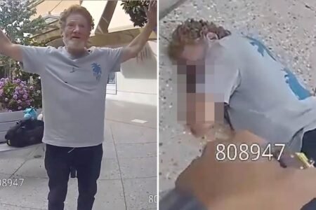 Palo Alto mall menace is zapped with Taser before face planting and breaking his neck