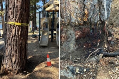 Billionaire’s playground offers 7K to unmask mystery poisoning suspect