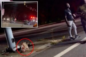 Maryland DoorDash customer picks up order from driver at crash scene: ‘I think that’s my food right there’ Maryland DoorDash customer picks up order from driver at crash scene: ‘I think that’s my food right there’
