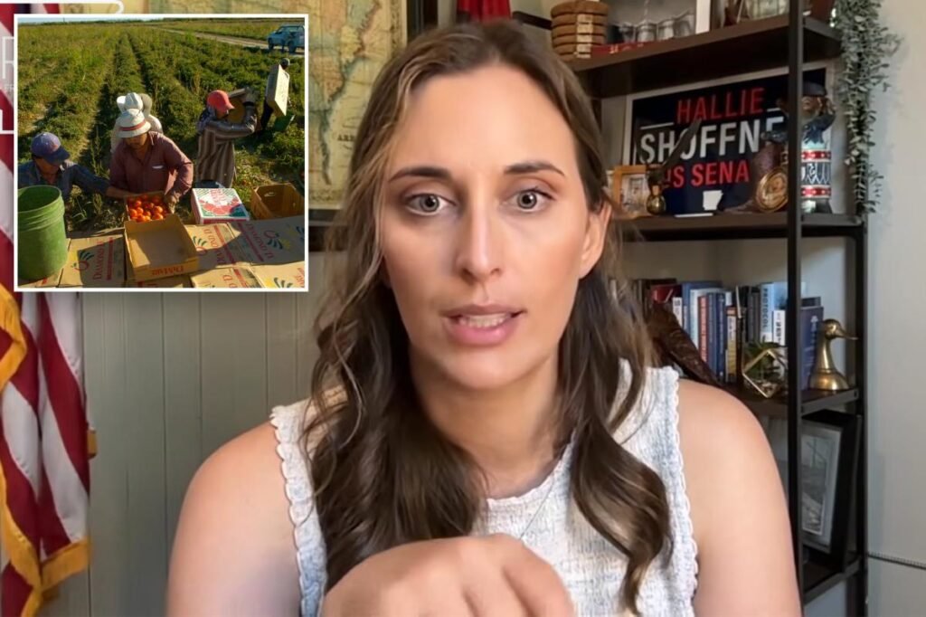 Arkansas Dem Senate candidate faces fury for suggesting illegal migrants should replace American workers Arkansas Dem Senate candidate faces fury for suggesting illegal migrants should replace American workers