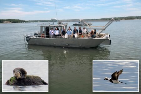 Long Island Sound shows signs of a comeback as water quality continues to improve