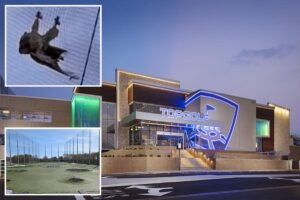 Exclusive | Towering Topgolf nets are killing birds, animal activists allege in scathing lawsuit Exclusive | Towering Topgolf nets are killing birds, animal activists allege in scathing lawsuit
