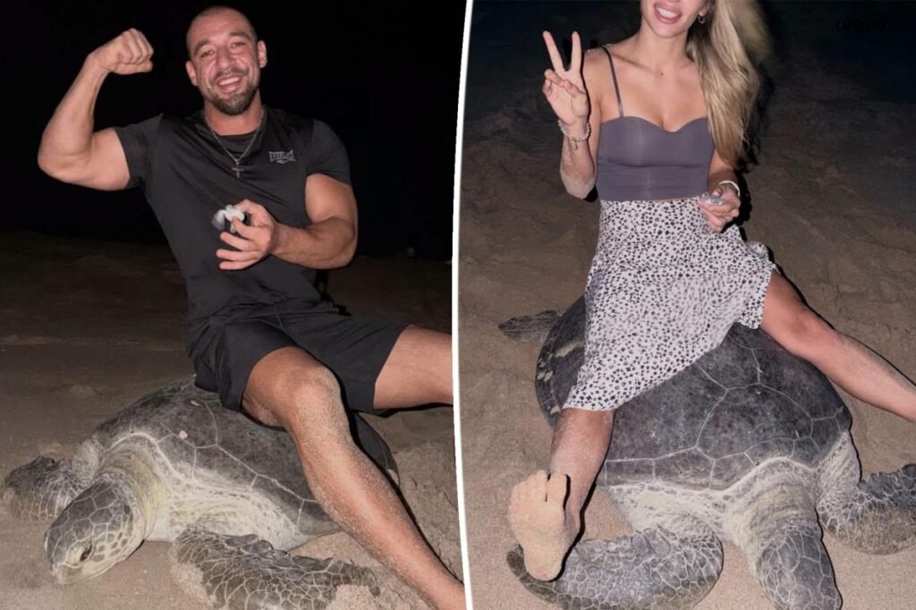 ‘Scum of the earth’ tourists ignite international backlash after filming themselves riding egg-laying sea turtle ‘Scum of the earth’ tourists ignite international backlash after filming themselves riding egg-laying sea turtle