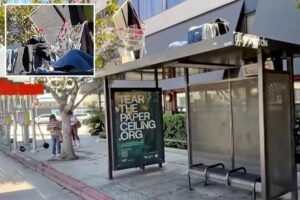 Homeless man makes a camp, complete with shopping cart, atop a bus shelter in upscale LA neighborhood