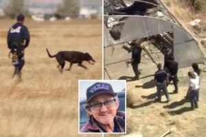 Frantic grave-digging effort in California desert uncovers human remains sparking murder investigation two weeks after man goes missing Frantic grave-digging effort in California desert uncovers human remains sparking murder investigation two weeks after man goes missing