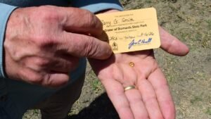 Grandfather finds hidden treasure in plain sight as park officials ‘dumbfounded’ by discovery Grandfather finds hidden treasure in plain sight as park officials ‘dumbfounded’ by discovery