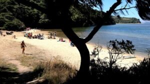 Deadly mystery unfolds as canoeists are found unresponsive after midnight trip
