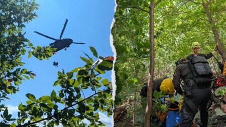 North Carolina climber airlifted after plunging 20 feet down gorge, sustaining serious injuries North Carolina climber airlifted after plunging 20 feet down gorge, sustaining serious injuries