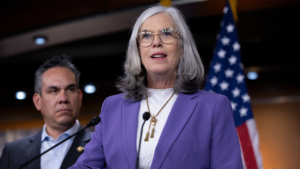 Top Democrat survives double-barreled challenge as party’s Israel divide hits home Top Democrat survives double-barreled challenge as party’s Israel divide hits home