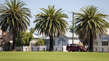 My suburb has a bottle-o, a vape shop, three massage parlours … and no residents My suburb has a bottle-o, a vape shop, three massage parlours … and no residents