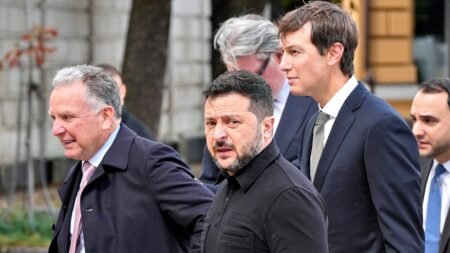 Russian strikes continue following visit by Witkoff and Kushner to Kyiv Russian strikes continue following visit by Witkoff and Kushner to Kyiv