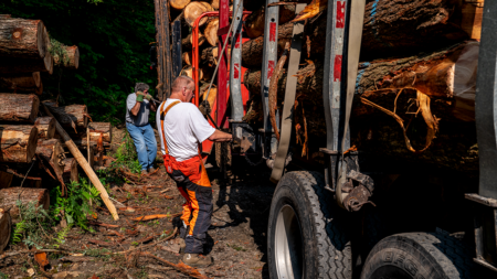 Soaring diesel prices threaten collapse of timber industry: ‘We’re in trouble,’ executive warns