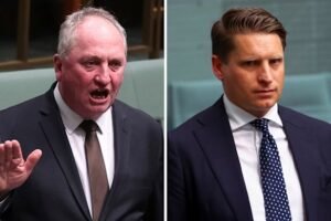 Independent senator labels One Nation leader a ‘bloody maggot’ in escalating feud over veteran Andrew Hastie