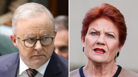 One Nation reveals migration plan; Trump downplays AI threat; voters lose faith in PM on economy One Nation reveals migration plan; Trump downplays AI threat; voters lose faith in PM on economy