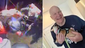 Missing 70-year-old hiker rescued after disappearing for a week in remote national park Missing 70-year-old hiker rescued after disappearing for a week in remote national park