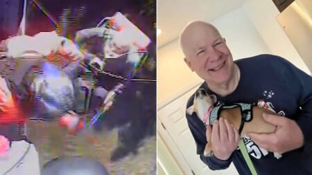 Missing 70-year-old hiker rescued after disappearing for a week in remote national park Missing 70-year-old hiker rescued after disappearing for a week in remote national park