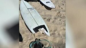 Authorities take Geraldton shark attack survivor’s board, wetsuit for DNA testing