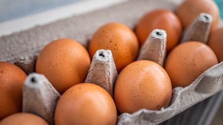 Eggs recalled as salmonella outbreak sickens 23 people