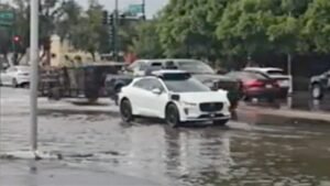 Video shows Waymo driverless vehicle stuck in ‘AI loop’ on flooded Phoenix street Video shows Waymo driverless vehicle stuck in ‘AI loop’ on flooded Phoenix street