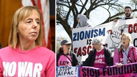 How CodePink co-founder Medea Benjamin’s family foundation became a major funder of left-wing activist groups How CodePink co-founder Medea Benjamin’s family foundation became a major funder of left-wing activist groups