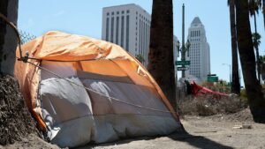 LA homelessness fraud cases expose deeper problem than stolen millions, oversight hawk warns