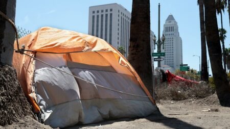 LA homelessness fraud cases expose deeper problem than stolen millions, oversight hawk warns