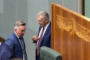 Advisers to Tony Burke and Chris Bowen tie the knot