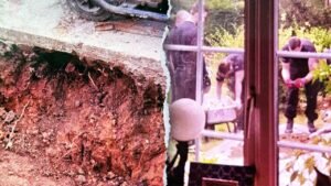 Shocking discovery of ancient bones turns couple’s kitchen renovation into ‘crime scene’ Shocking discovery of ancient bones turns couple’s kitchen renovation into ‘crime scene’