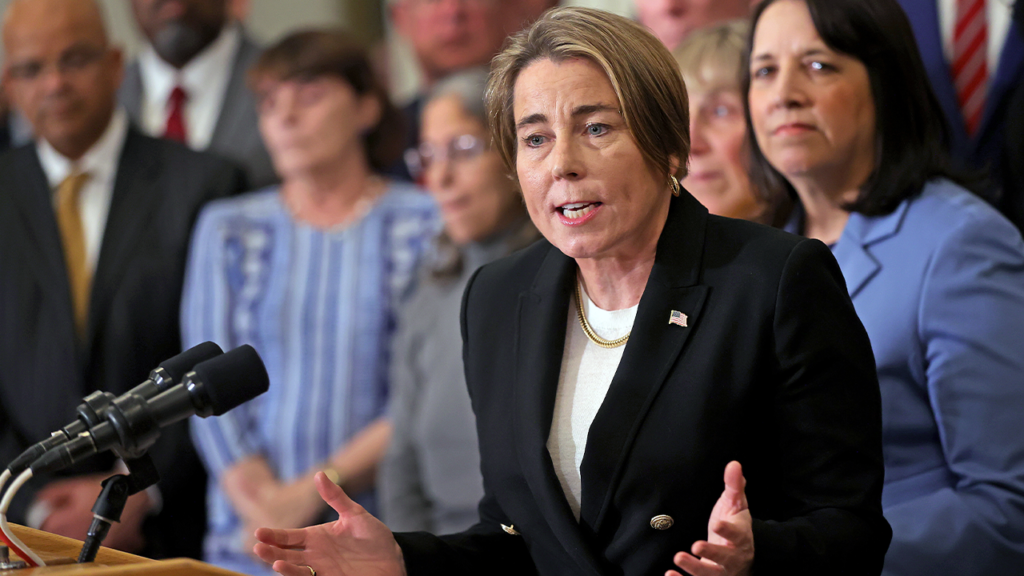 Blue state gov ignites online firestorm with plan to send gov’t into homes of newborn babies: ‘Lunatic libs’ Blue state gov ignites online firestorm with plan to send gov’t into homes of newborn babies: ‘Lunatic libs’