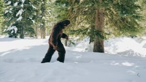 Hard Mountain Dew offers M bounty to anyone who can prove Bigfoot is real