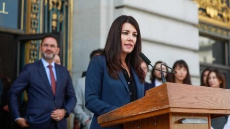 Former news anchor working for California Democrat arrested by immigration authorities at Las Vegas airport Former news anchor working for California Democrat arrested by immigration authorities at Las Vegas airport