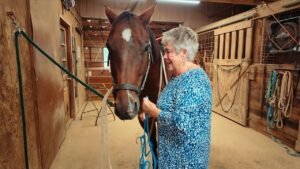 Farmers offering on-site vacation rentals to combat rising costs